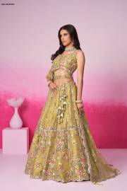 PF  6041 COLOUR’S